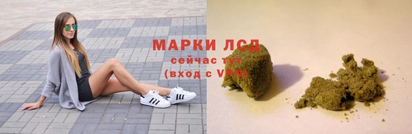 стафф Алзамай