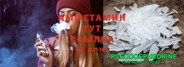 стафф Алзамай